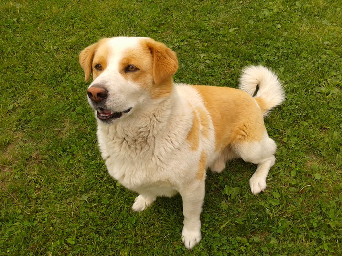 Fotografie0060 - AAAAAAAAA_OSMAN_IN MEMORIAM