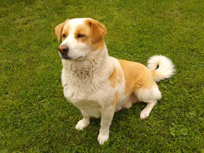 Fotografie0063 - AAAAAAAAA_OSMAN_IN MEMORIAM