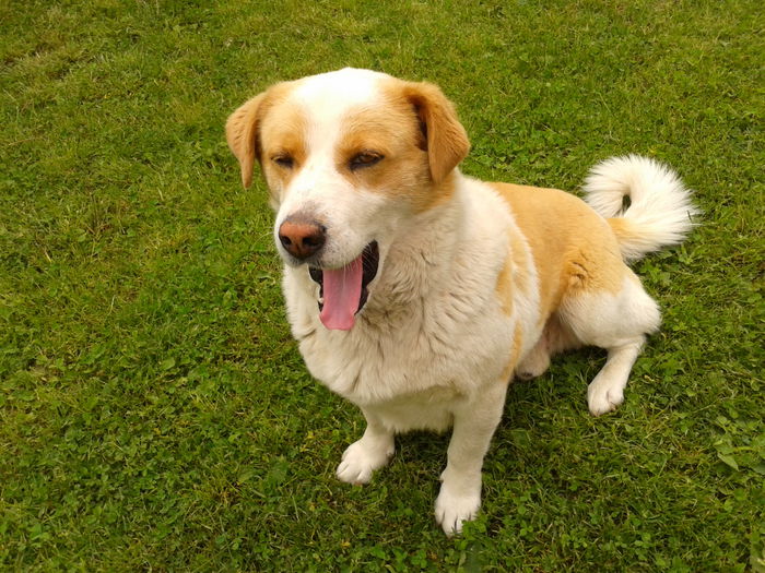 Fotografie0068 - AAAAAAAAA_OSMAN_IN MEMORIAM