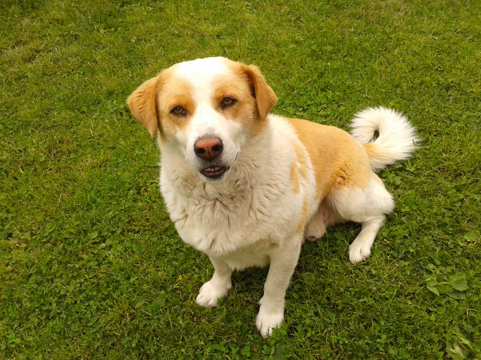 Fotografie0069 - AAAAAAAAA_OSMAN_IN MEMORIAM