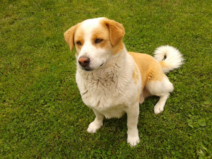 Fotografie0070 - AAAAAAAAA_OSMAN_IN MEMORIAM