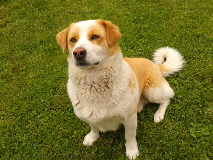 Fotografie0071 - AAAAAAAAA_OSMAN_IN MEMORIAM