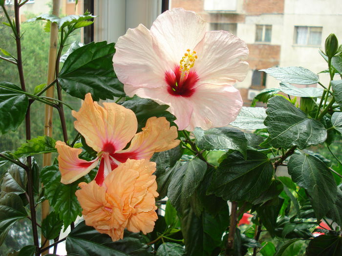 DSC01141