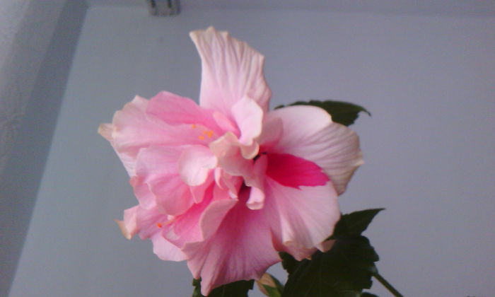 2015-05-16 07.21.25