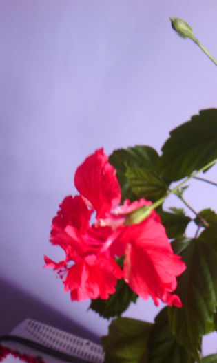 2015-05-16 14.05.43