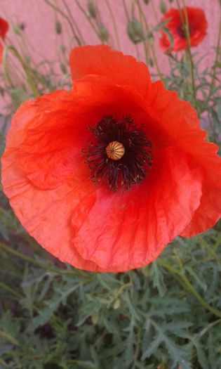 20150513_090928