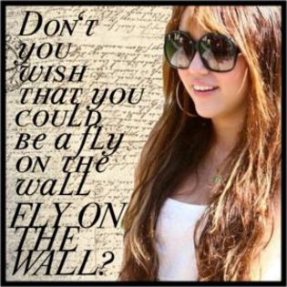img ss - miley cyrus fly on the wall