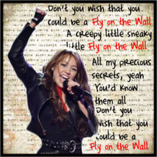 img-set - miley cyrus fly on the wall