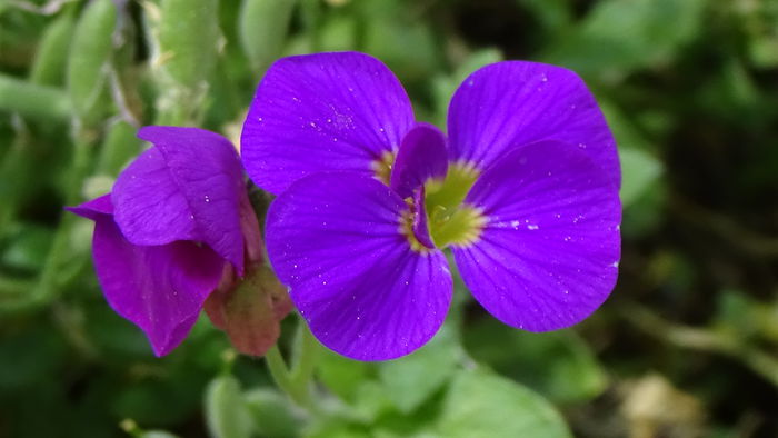 DSC00007