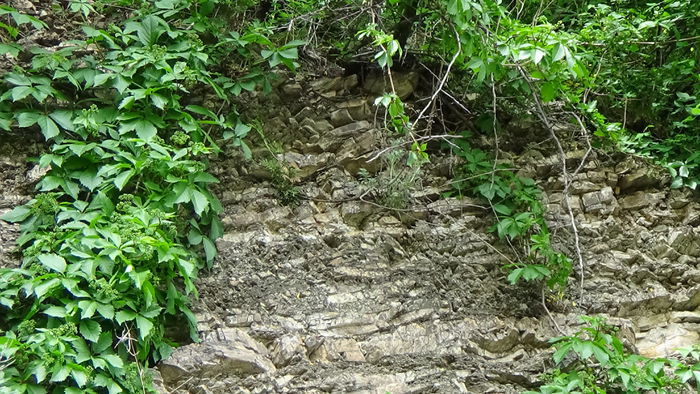 DSC00016