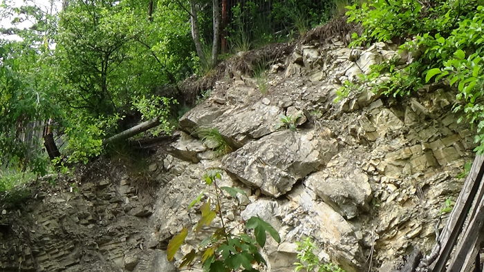 DSC00087 - GRADINA MEA IN 2015