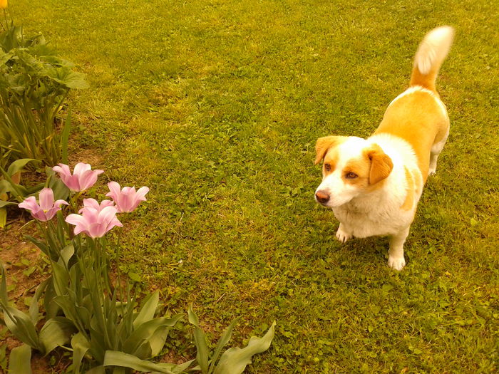 Fotografie0049 - AAAAAAAAA_OSMAN_IN MEMORIAM