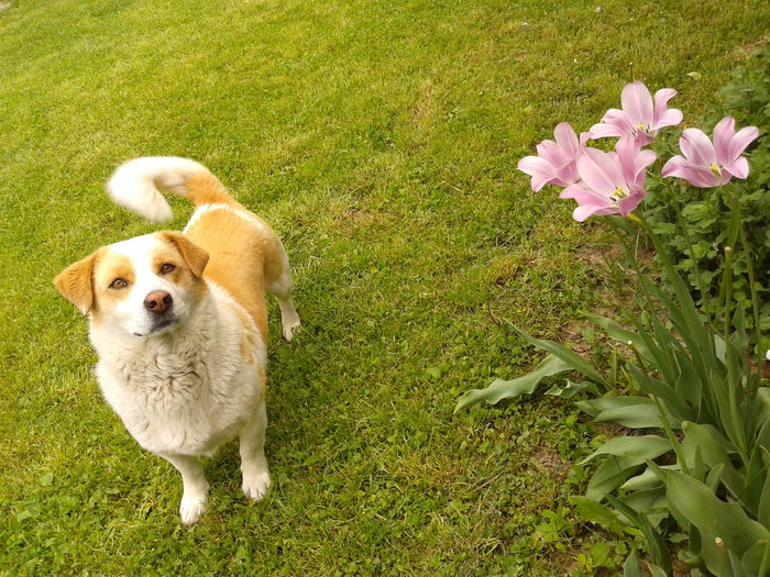 Fotografie0032 - AAAAAAAAA_OSMAN_IN MEMORIAM