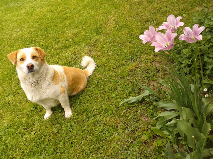 Fotografie0034 - AAAAAAAAA_OSMAN_IN MEMORIAM