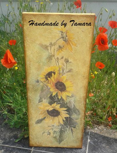 20150515_131146-001 - Decoupage 2015