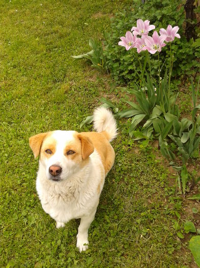 Fotografie0044 - AAAAAAAAA_OSMAN_IN MEMORIAM