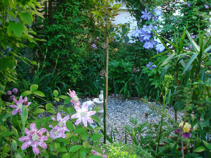 16.05.2015, seara - Gradina 2015