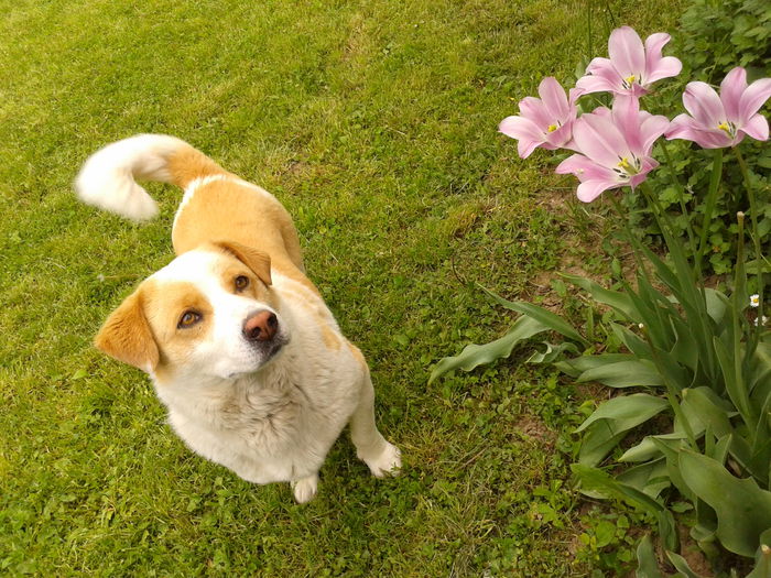 Fotografie0037 - AAAAAAAAA_OSMAN_IN MEMORIAM