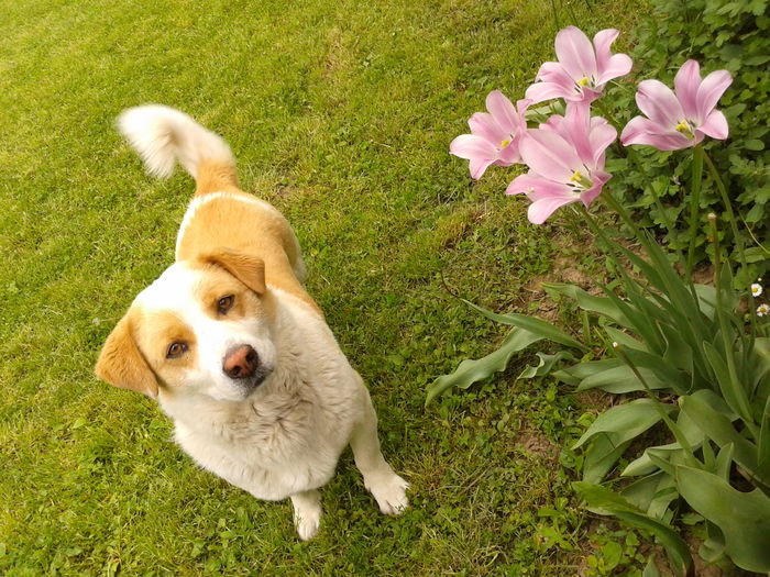 Fotografie0039 - AAAAAAAAA_OSMAN_IN MEMORIAM