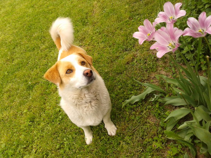 Fotografie0040 - AAAAAAAAA_OSMAN_IN MEMORIAM