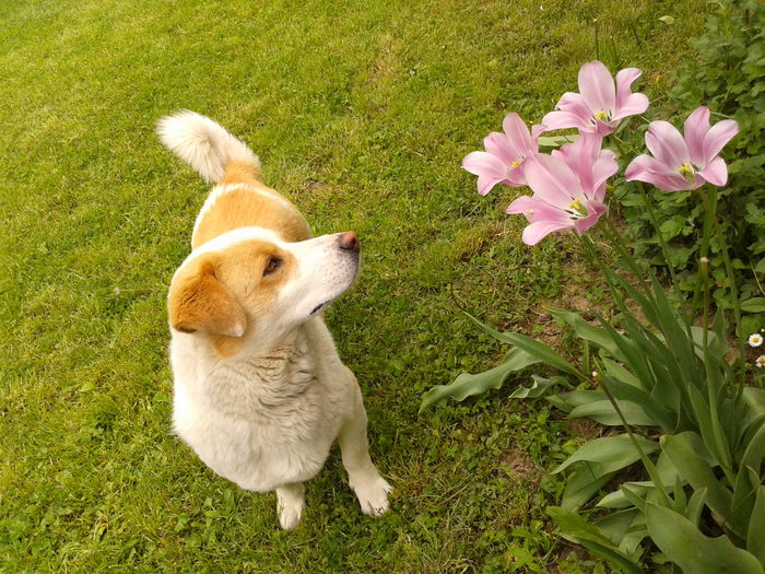 Fotografie0038 - AAAAAAAAA_OSMAN_IN MEMORIAM