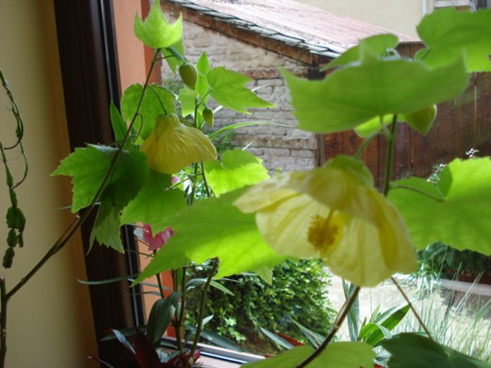 interior (5) - b 2015 - in interior