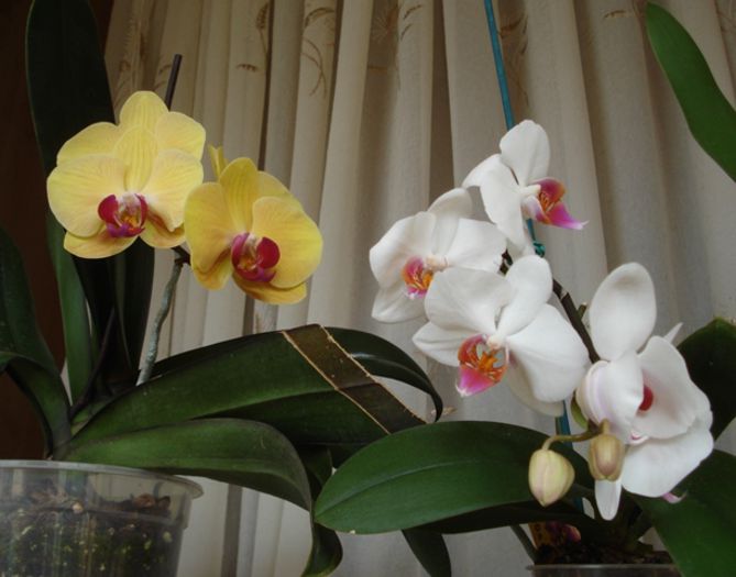 interior (7) - b 2015 - in interior