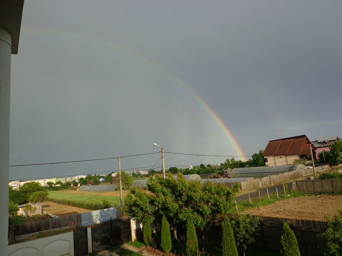 DSC07530