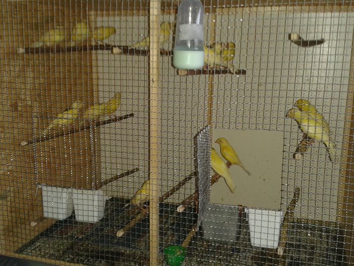 PIC_5647; sezon 2015
