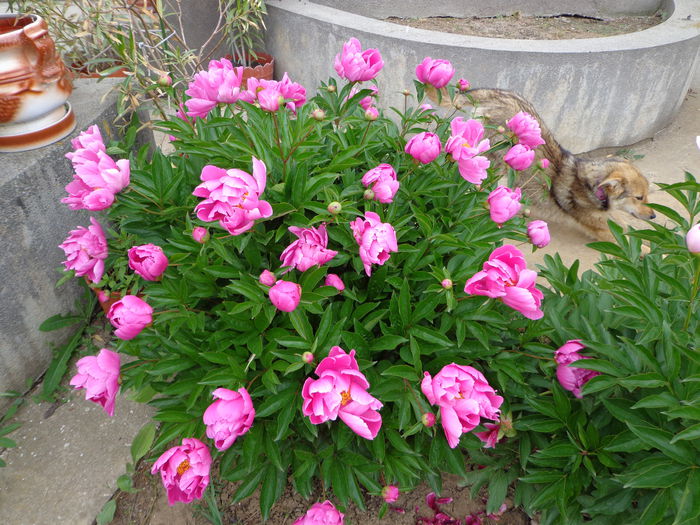 DSC07672