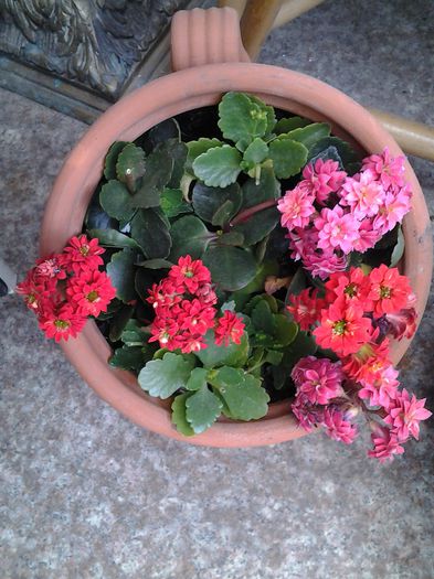 20150517_130015 - mai 2015