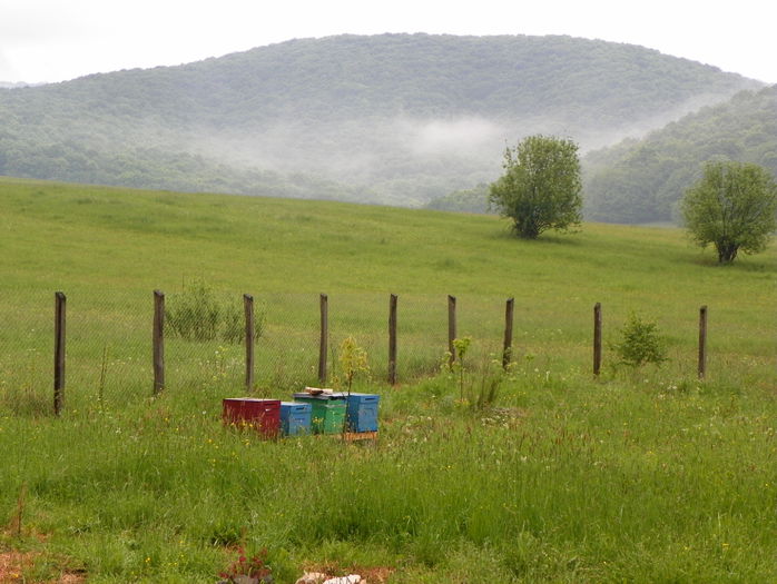 16 mai 018 - z-Dobarland 2015