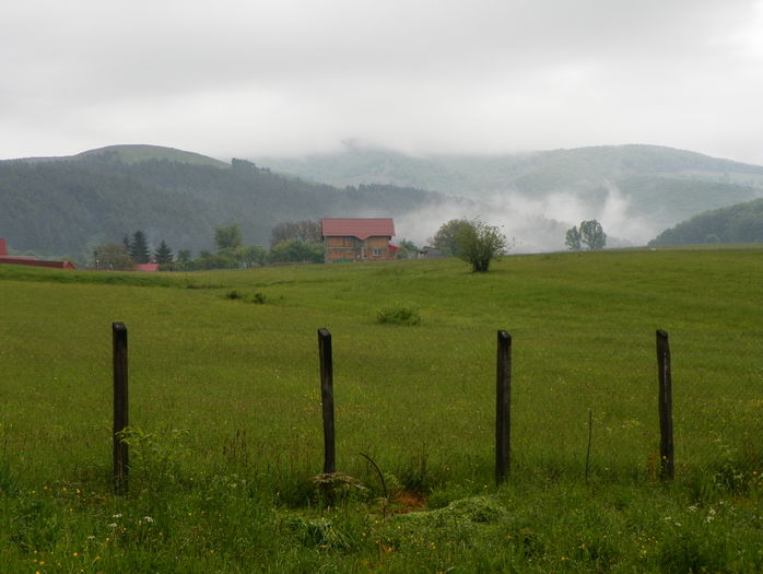 16 mai 024 - z-Dobarland 2015