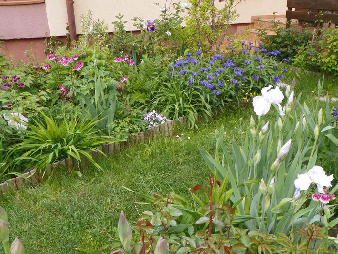 15 mai 064