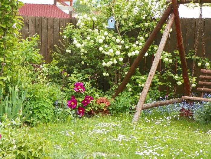 15 mai 067 - Gradina 2015