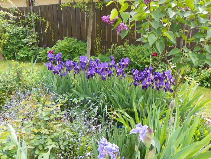 16 mai 066