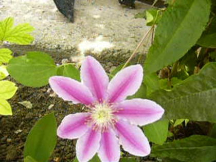 P1230789