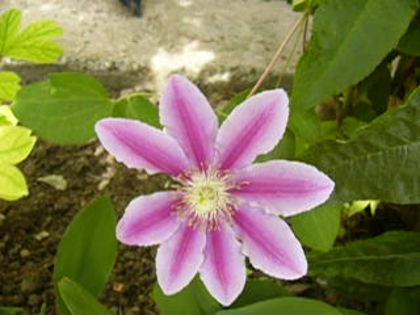 P1230791