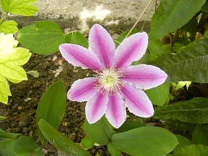 P1230792