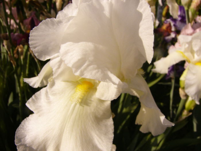 P1230807