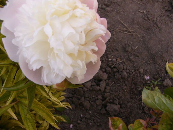 P1230824