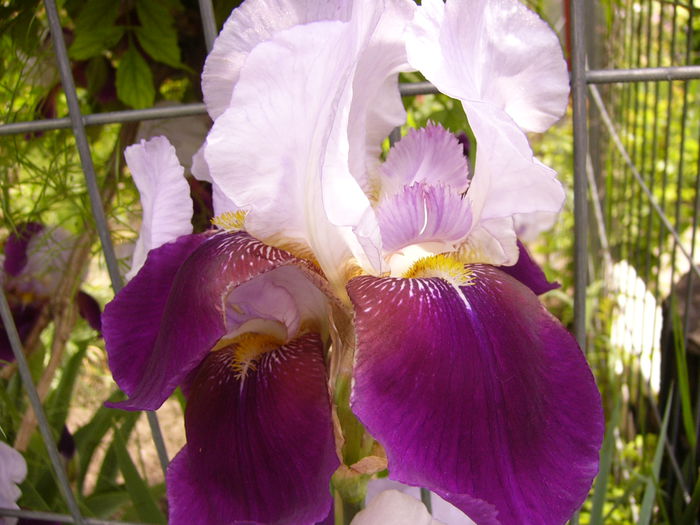 P1230853