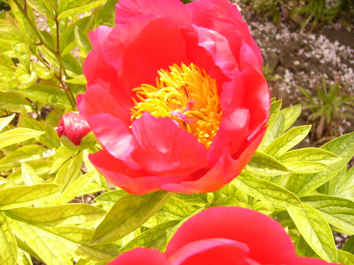 P1230869