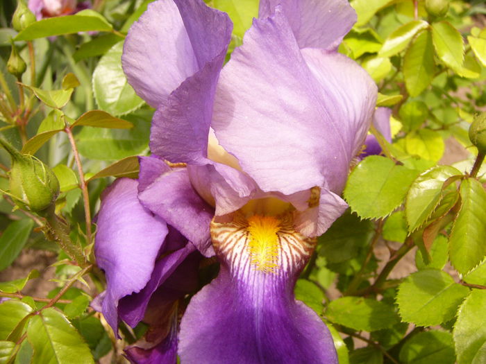 P1230877