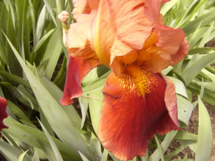 P1230883