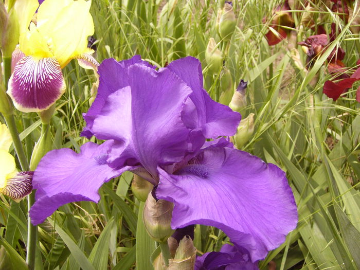 P1230894