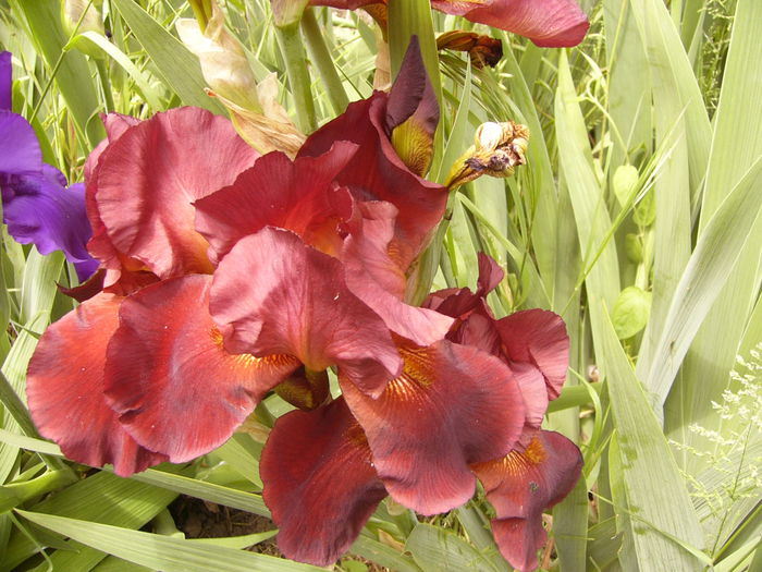 P1230895