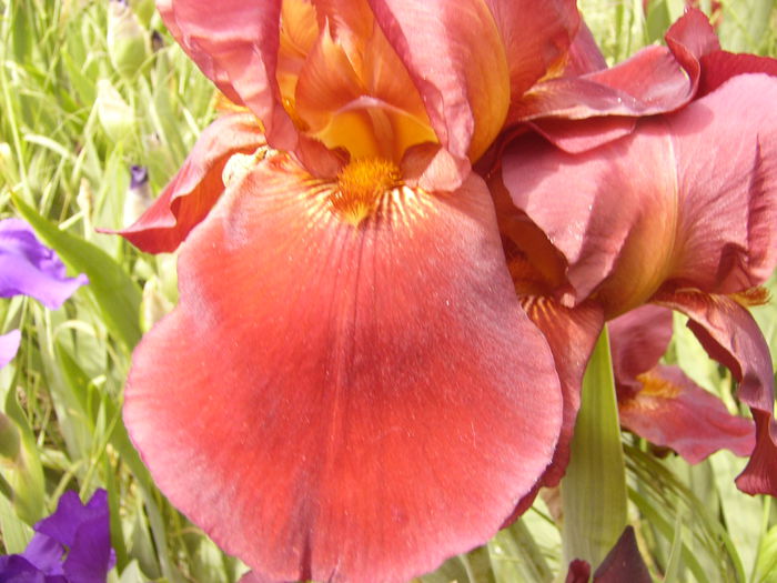 P1230896