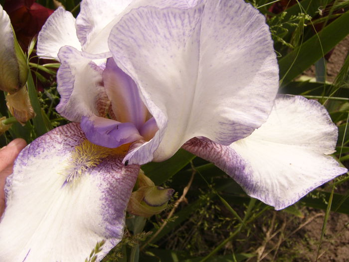 P1230899
