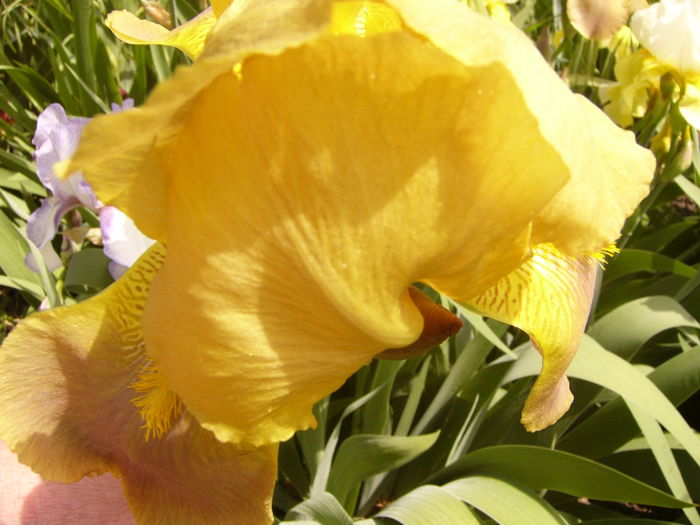P1230902